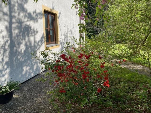 Ferienwohnungen Hanke Barbara 피딩 외부 사진
